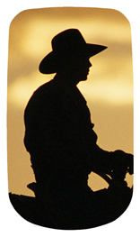 DAROYAL 360 BZ Cowboy Bronze